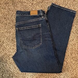 American Eagle Outfitters Women Dark Denim Straight High Rise Ankle Jeans